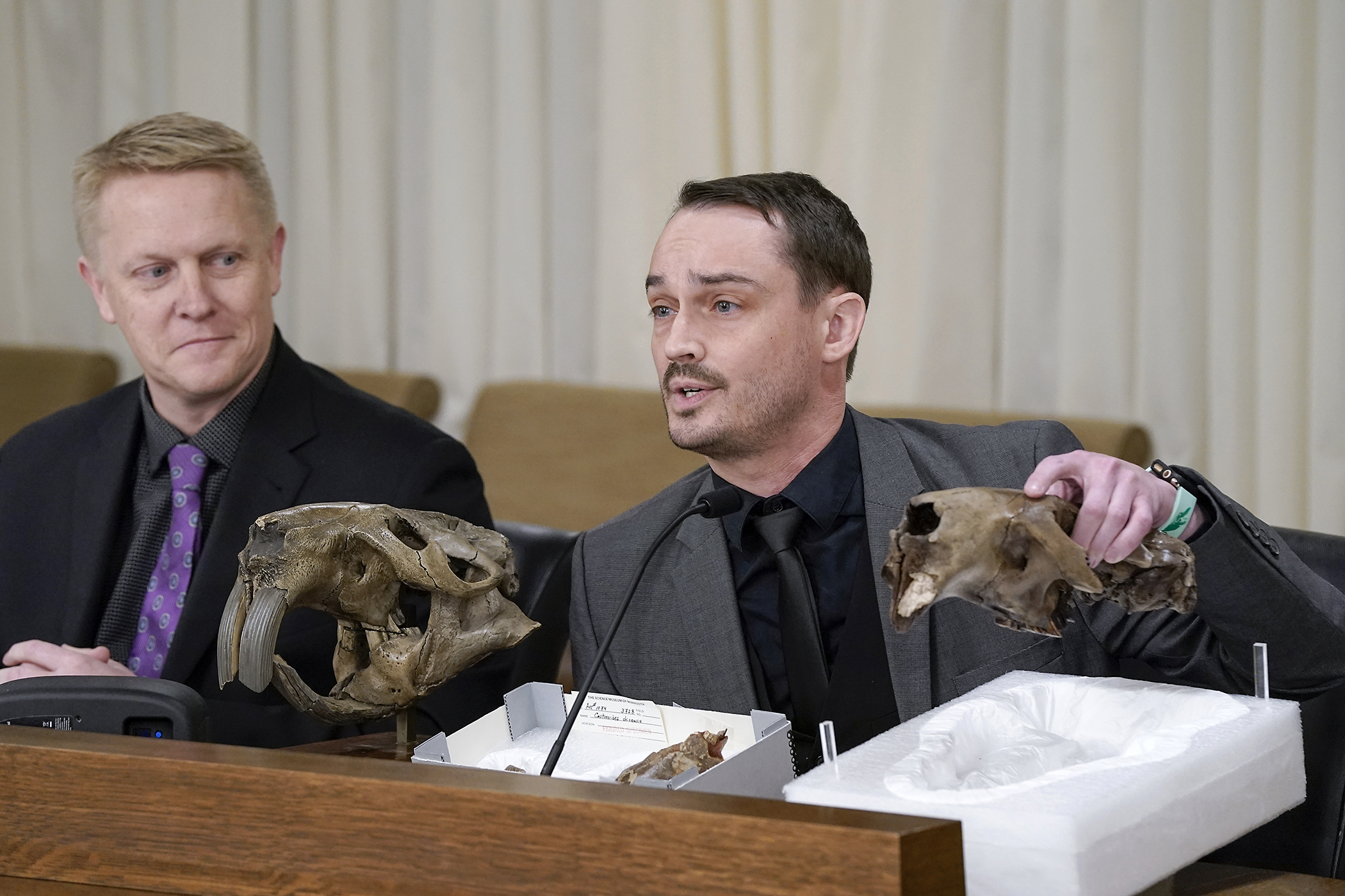 Alex Hastings, the Fitzpatrick Chair of Paleontology at the Science Museum of Minnesota, testifies March 13 in support of HF791. Rep. Andrew Myers, left, sponsors the bill to designate Castoroides ohioensis, commonly known as the giant beaver, as the state fossil. (Photo by Michele Jokinen)